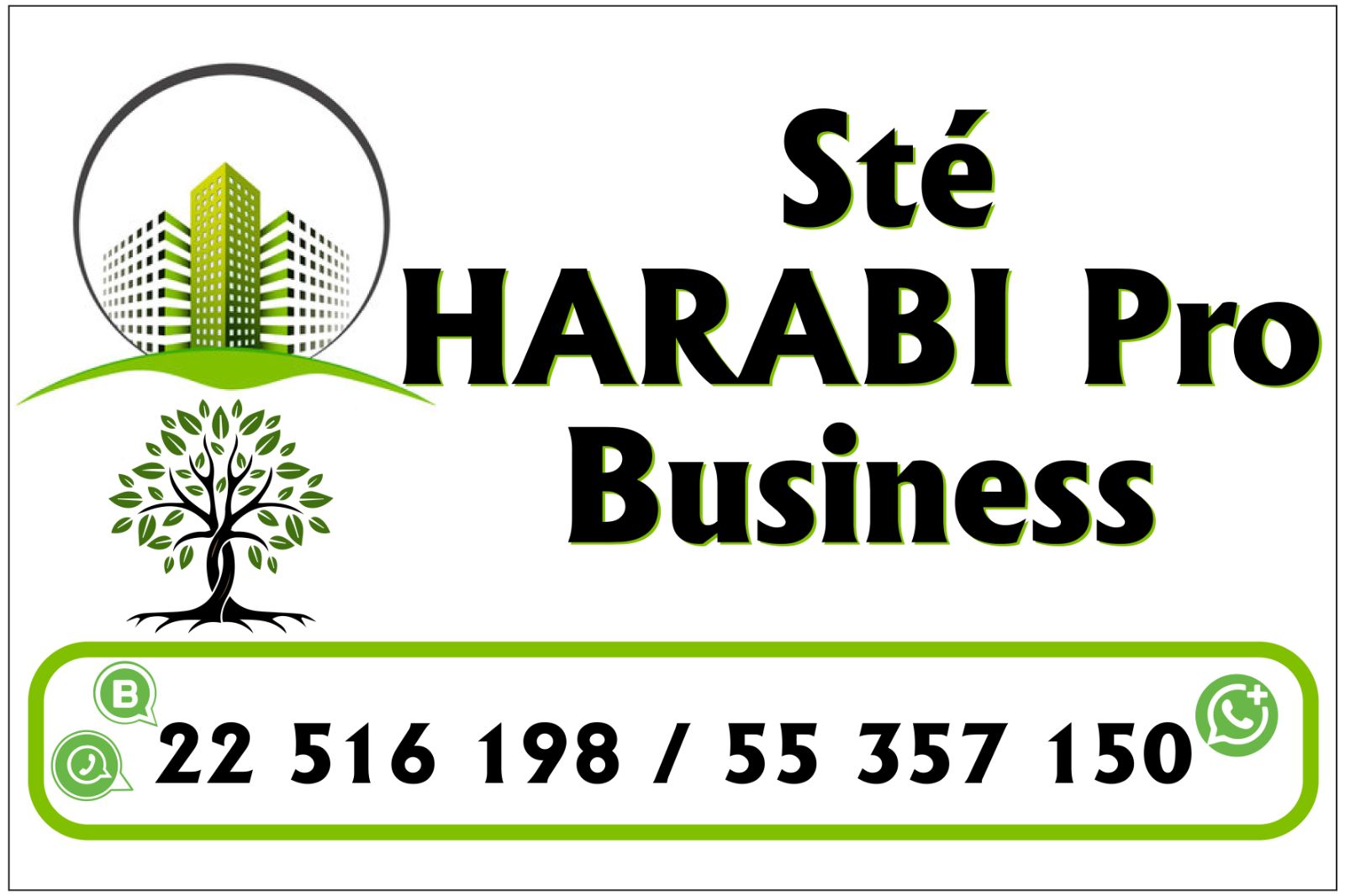 Bir Mcherga Bir Mcherga Terrain Terrain nu Terrain nu 11 hectares  mnagaa