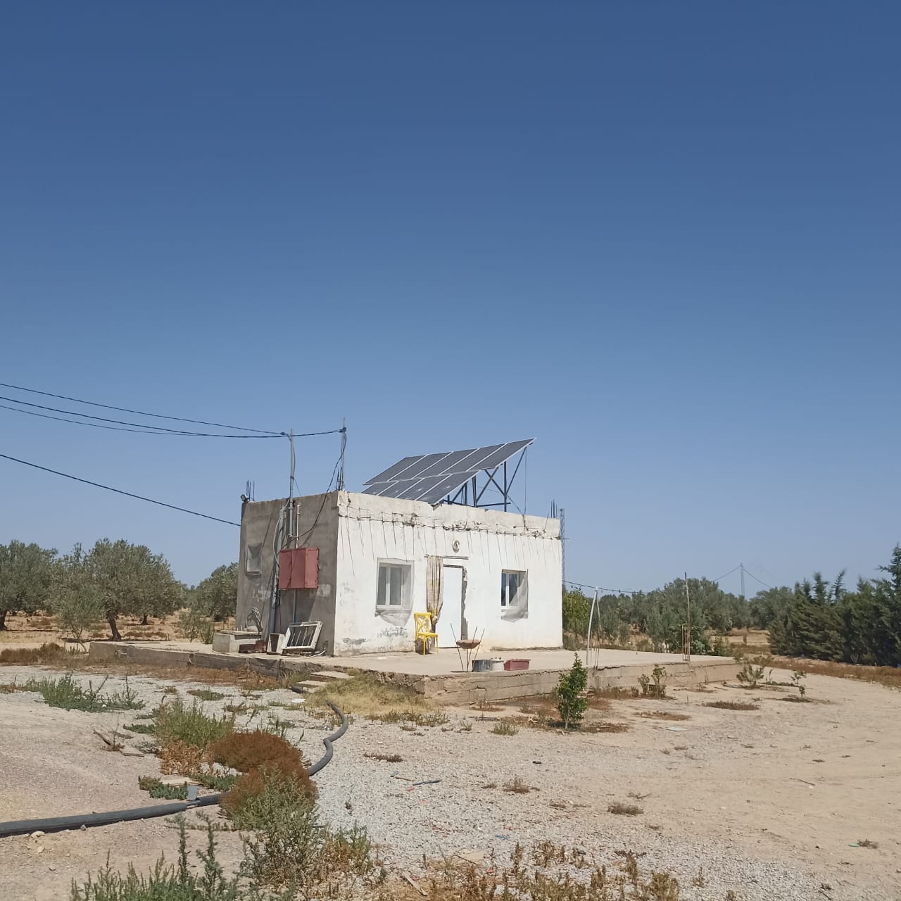 El Fahs El Amaiem Terrain Terrain agricole Ferme 65 km de tunis
