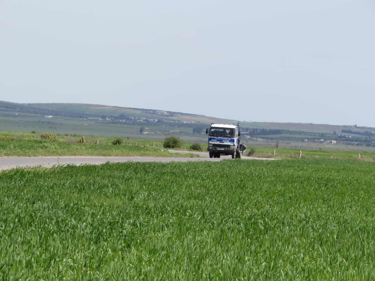 Bir Mcherga Boucha Terrain Terrain agricole Excellente 22 hectares plat