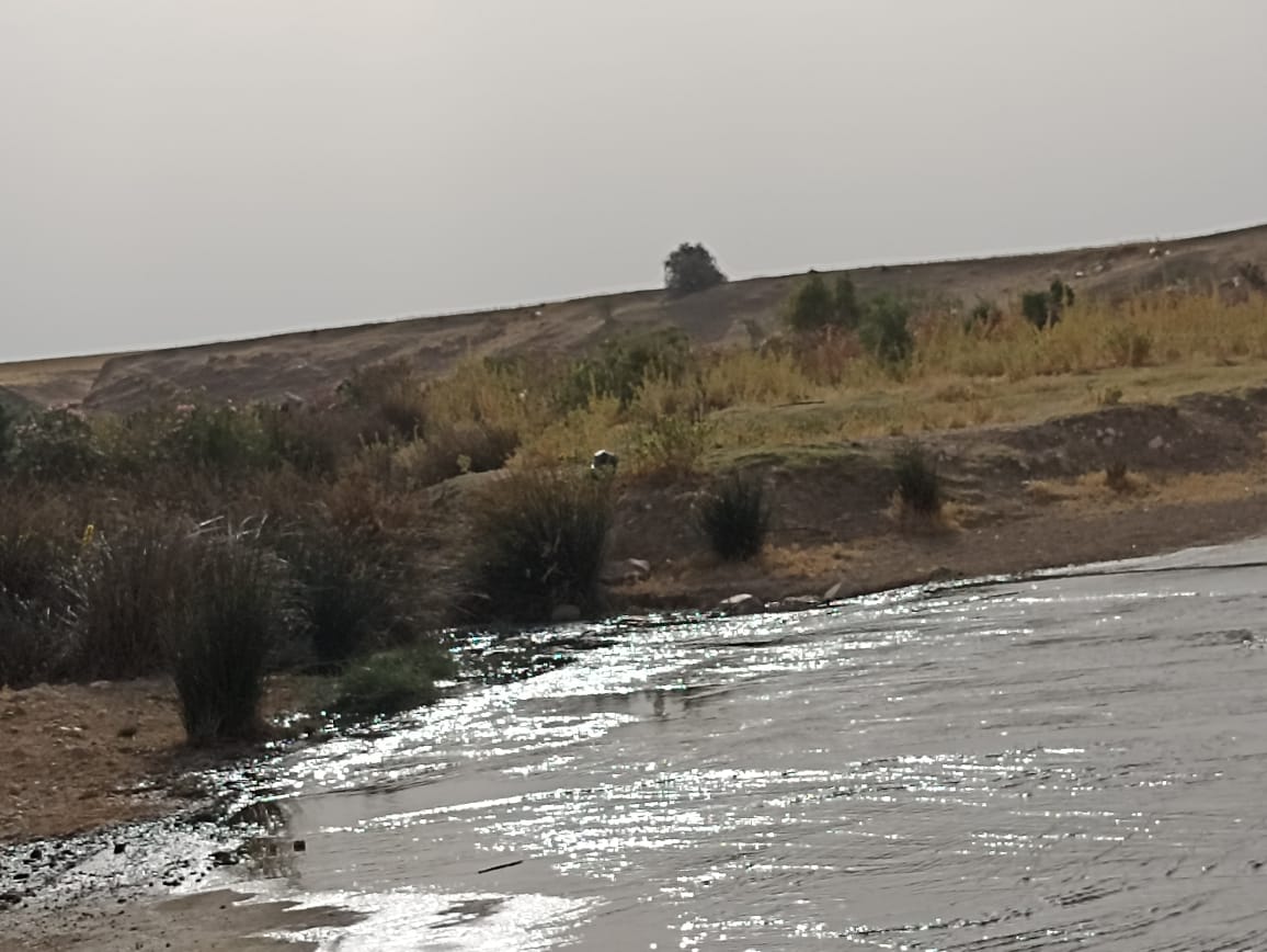 El Fahs El Fahs Terrain Terrain agricole 67 hectare sur la route nationale gp3