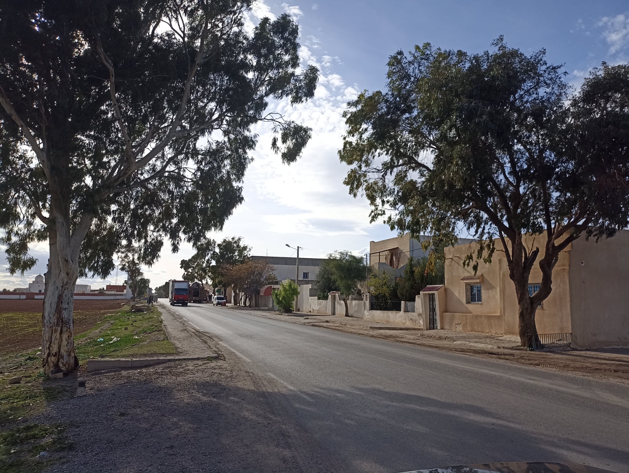 Bir Mcherga Ain El Asker Terrain Terrain agricole 14 hectares a 33 km de tunis