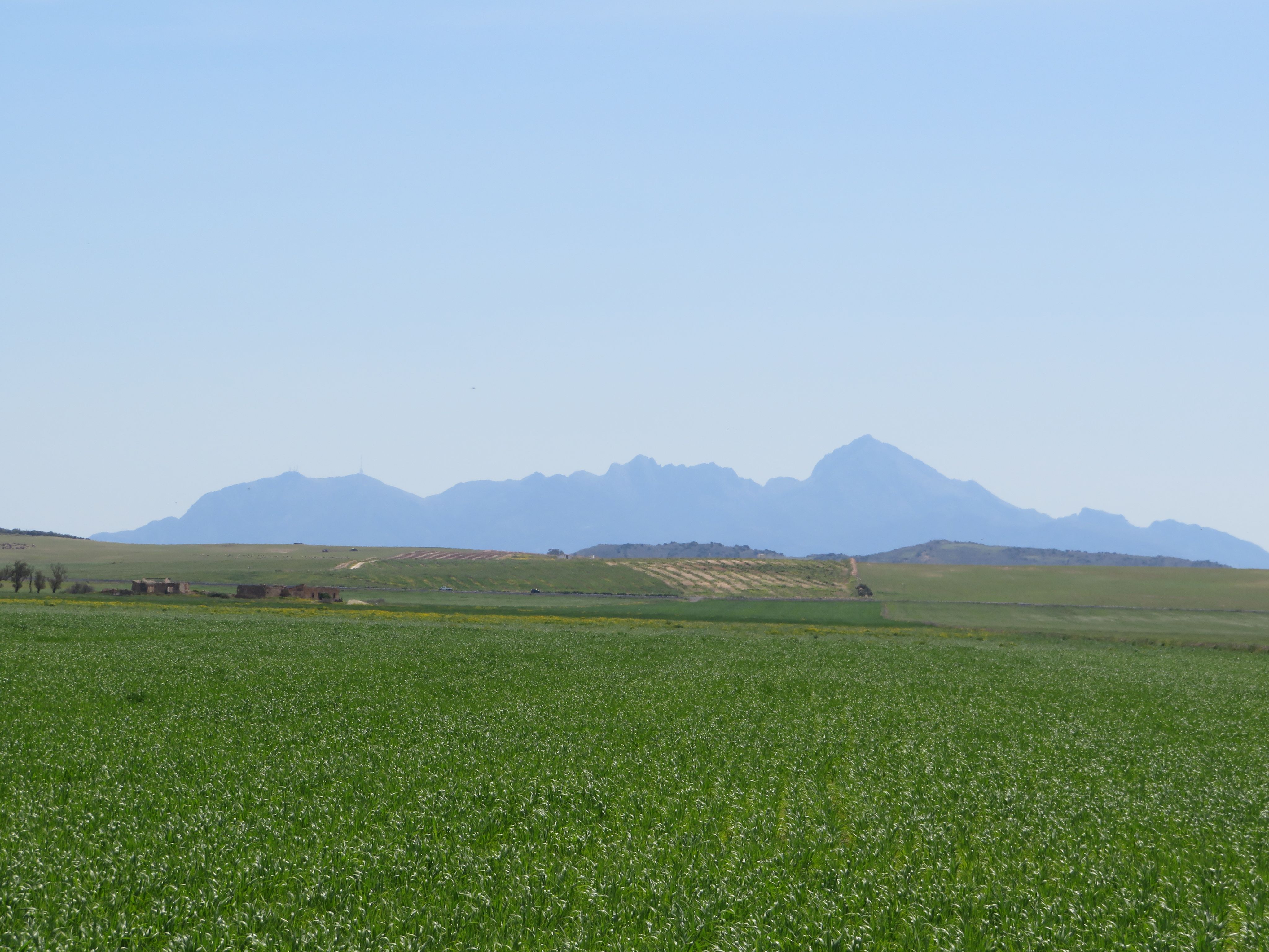 Bir Mcherga Boucha Terrain Terrain agricole 22 hectare  terrain plat et fertile