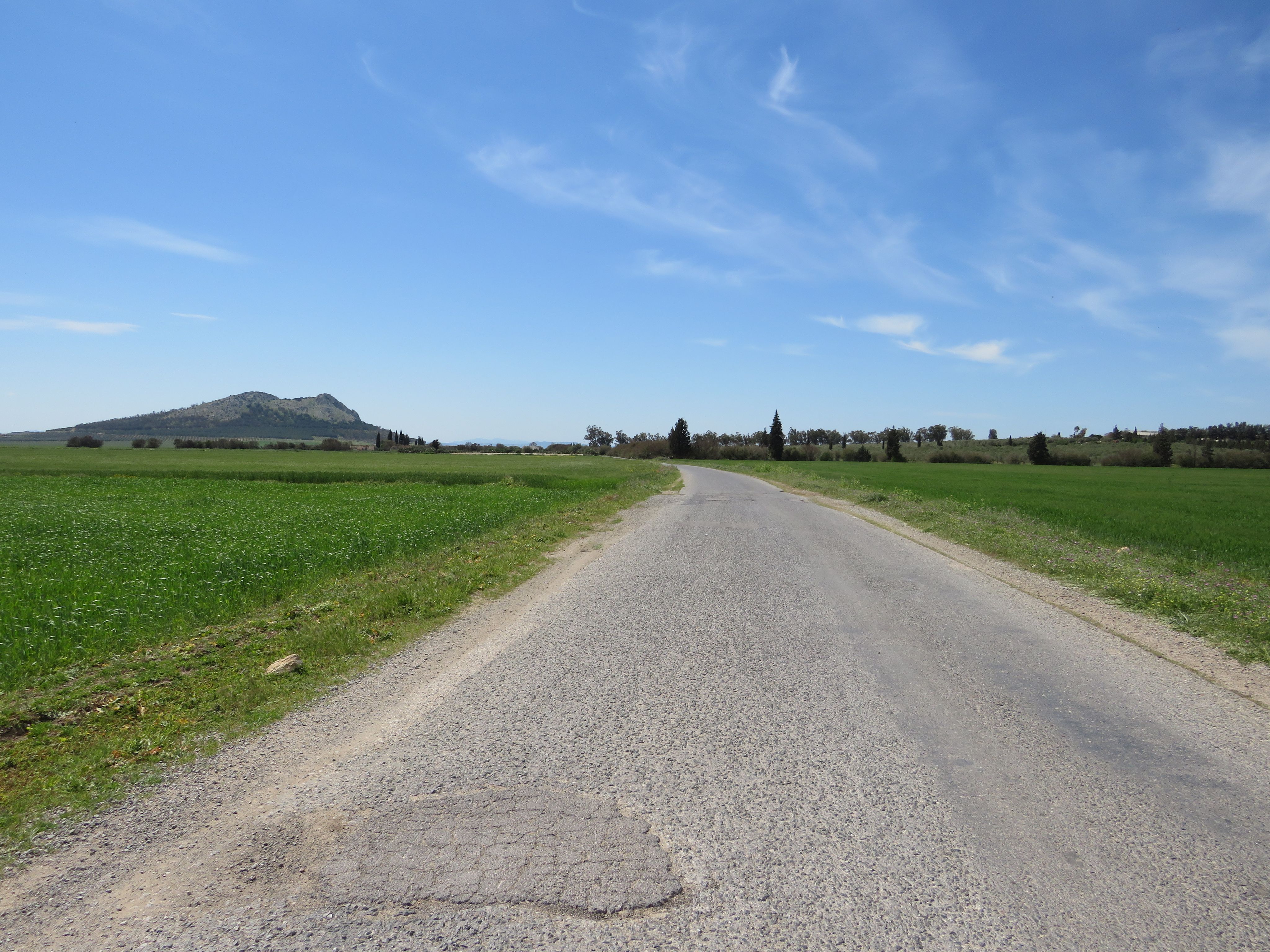 Bir Mcherga Boucha Terrain Terrain agricole 22 hectare  terrain plat et fertile