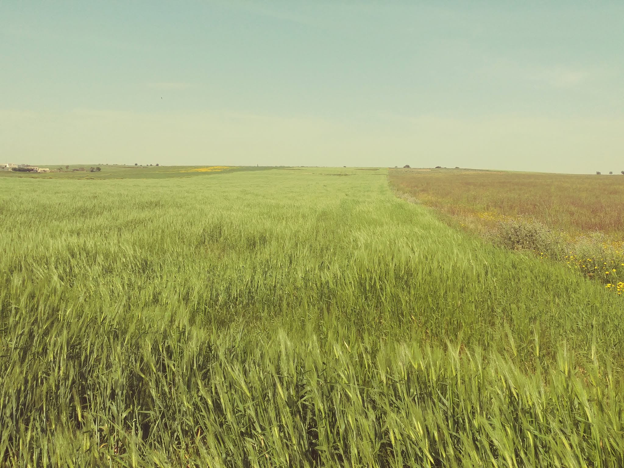 Bir Mcherga Bir Mcherga Terrain Terrain agricole 2 hectares et 7 500 m2 nu mnagaa