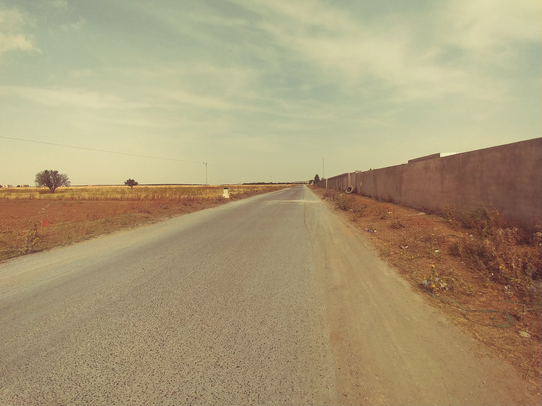 Bir Mcherga Bir Mcherga Terrain Terrain agricole 2 hectares et 7 500 m2 nu mnagaa