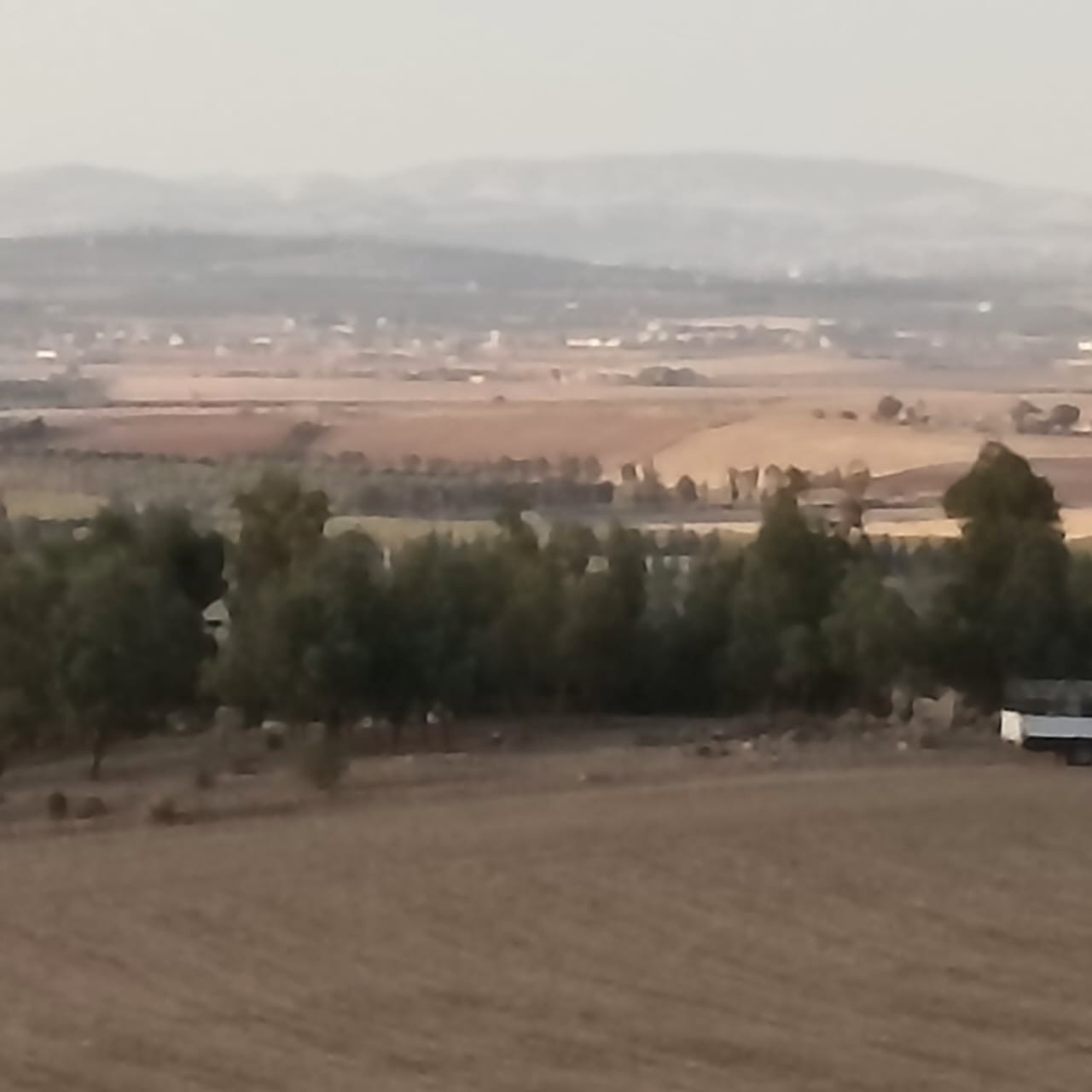 Bir Mcherga Bir Mcherga Terrain Terrain agricole A drijat 14 hectares 5000 m2