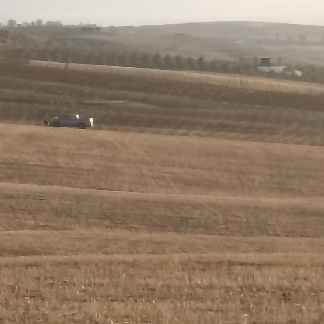 Bir Mcherga Bir Mcherga Terrain Terrain agricole A drijat 14 hectares 5000 m2