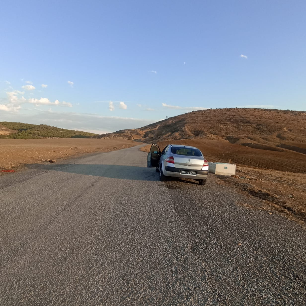Bir Mcherga Bir Mcherga Terrain Terrain agricole A drijat 14 hectares 5000 m2