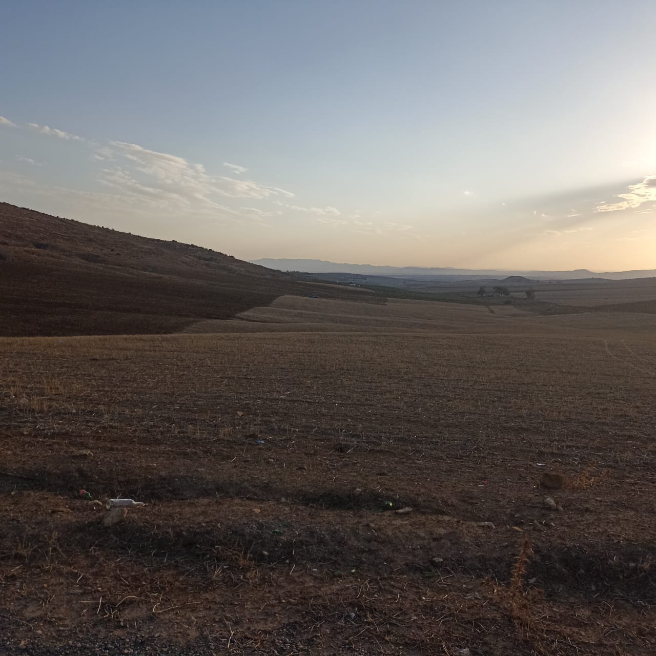 Bir Mcherga Bir Mcherga Terrain Terrain agricole A drijat 14 hectares 5000 m2