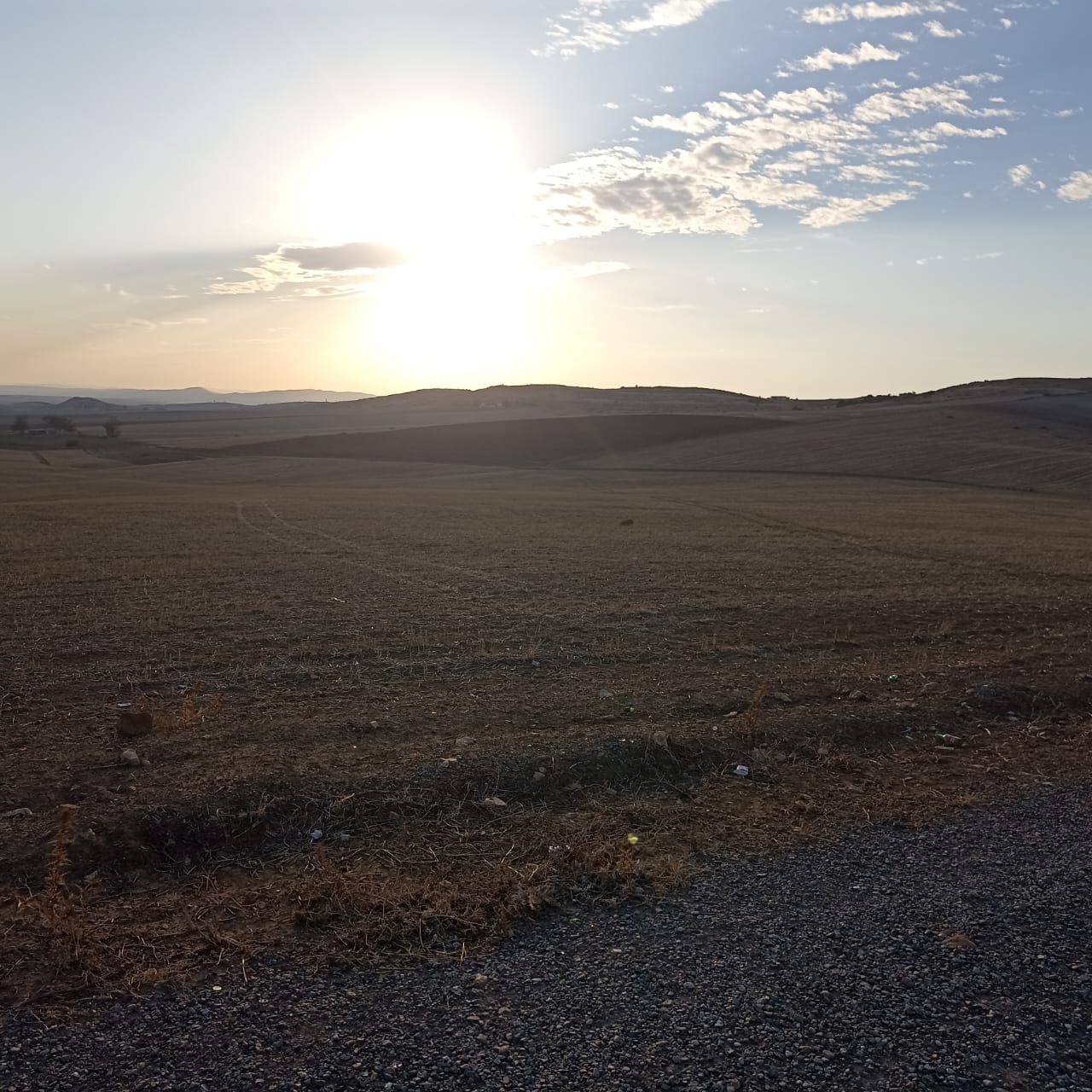 Bir Mcherga Bir Mcherga Terrain Terrain agricole A drijat 14 hectares 5000 m2