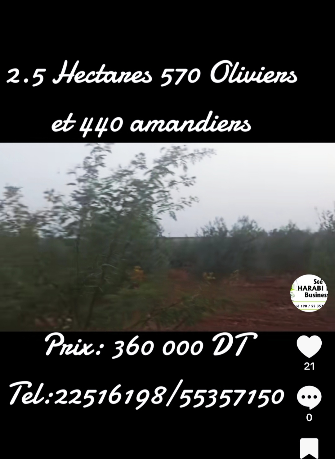 Bir Mcherga Bir Mcherga Terrain Terrain agricole Terrain 570 oliviers et 440 amandiers