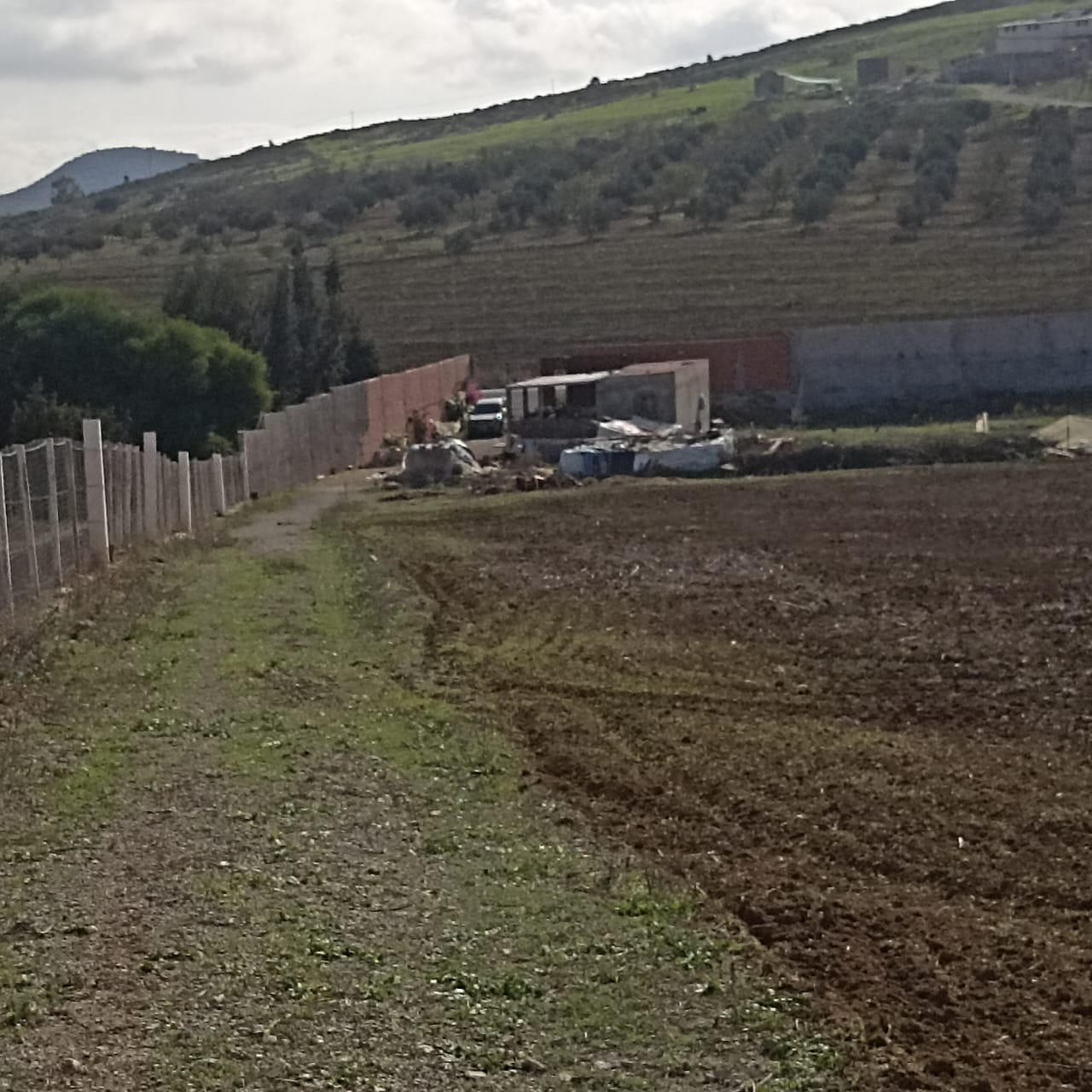 Zaghouan Zaghouan Terrain Terrain agricole Ferme 7 hectares 32km de tunis