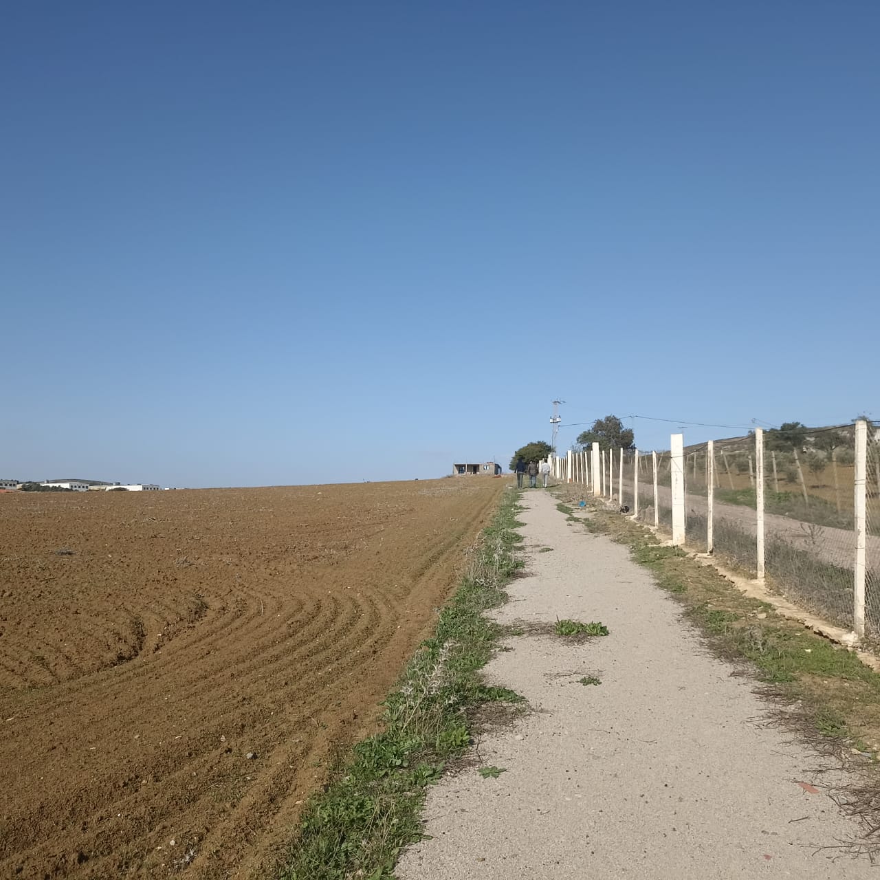 Zaghouan Zaghouan Terrain Terrain agricole Ferme 7 hectares 32km de tunis