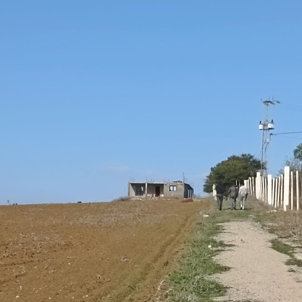 Zaghouan Zaghouan Terrain Terrain agricole Ferme 7 hectares 32km de tunis