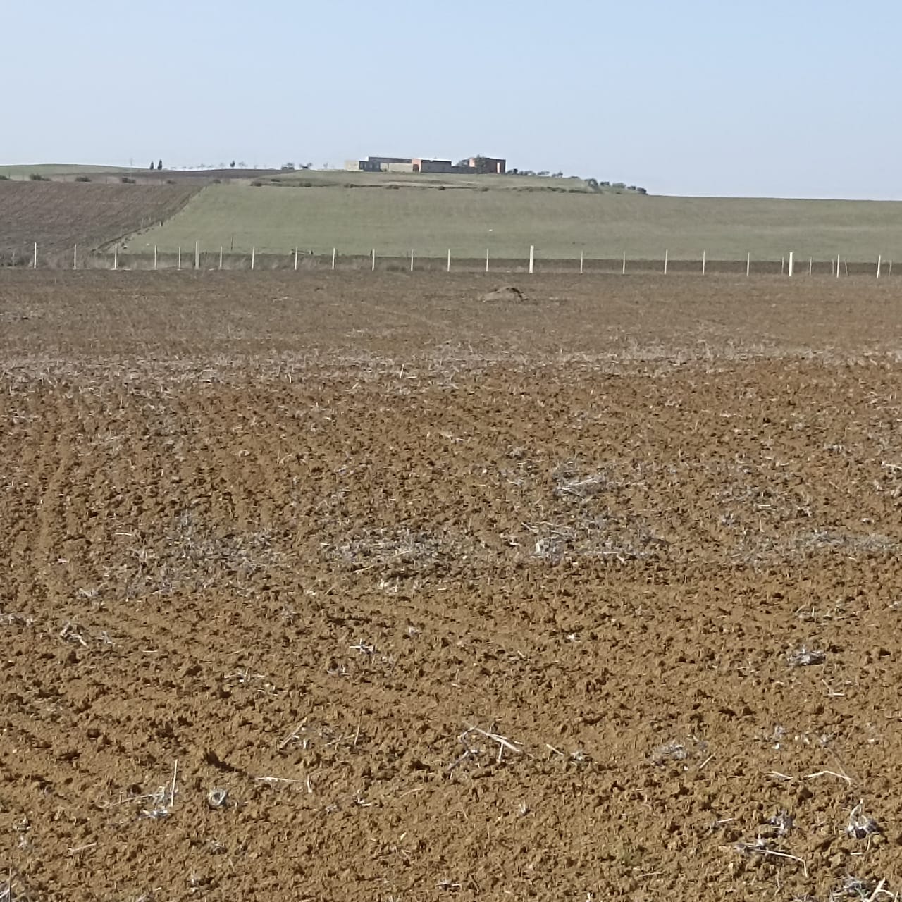 Zaghouan Zaghouan Terrain Terrain agricole Ferme 7 hectares 32km de tunis