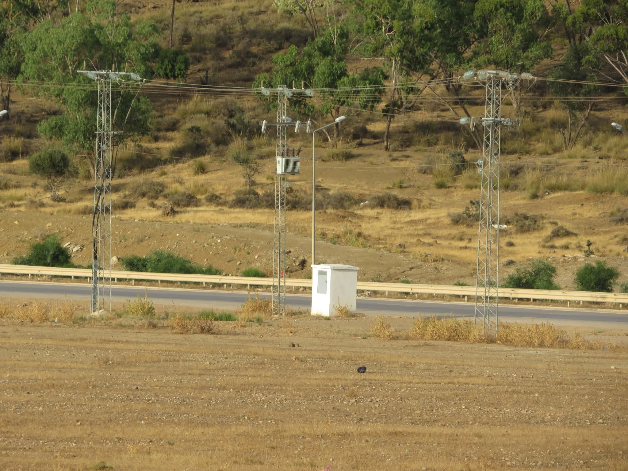 Bir Mcherga Jebel El Oust Terrain Terrain nu Des terrain rsidentiels  non prpars