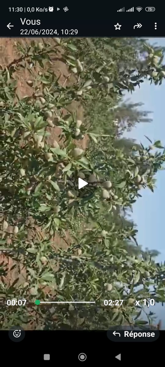 Bir Mcherga Delaiel El Arouss Terrain Terrain agricole Ferme 6hectares et 5000m2