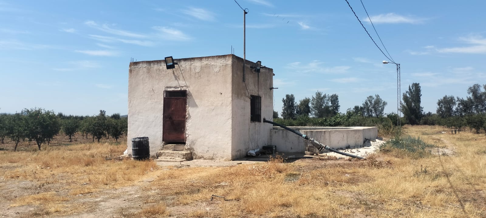 Bir Mcherga Boucha Terrain Terrain agricole 11hectares  grenadiers et d'oliviers
