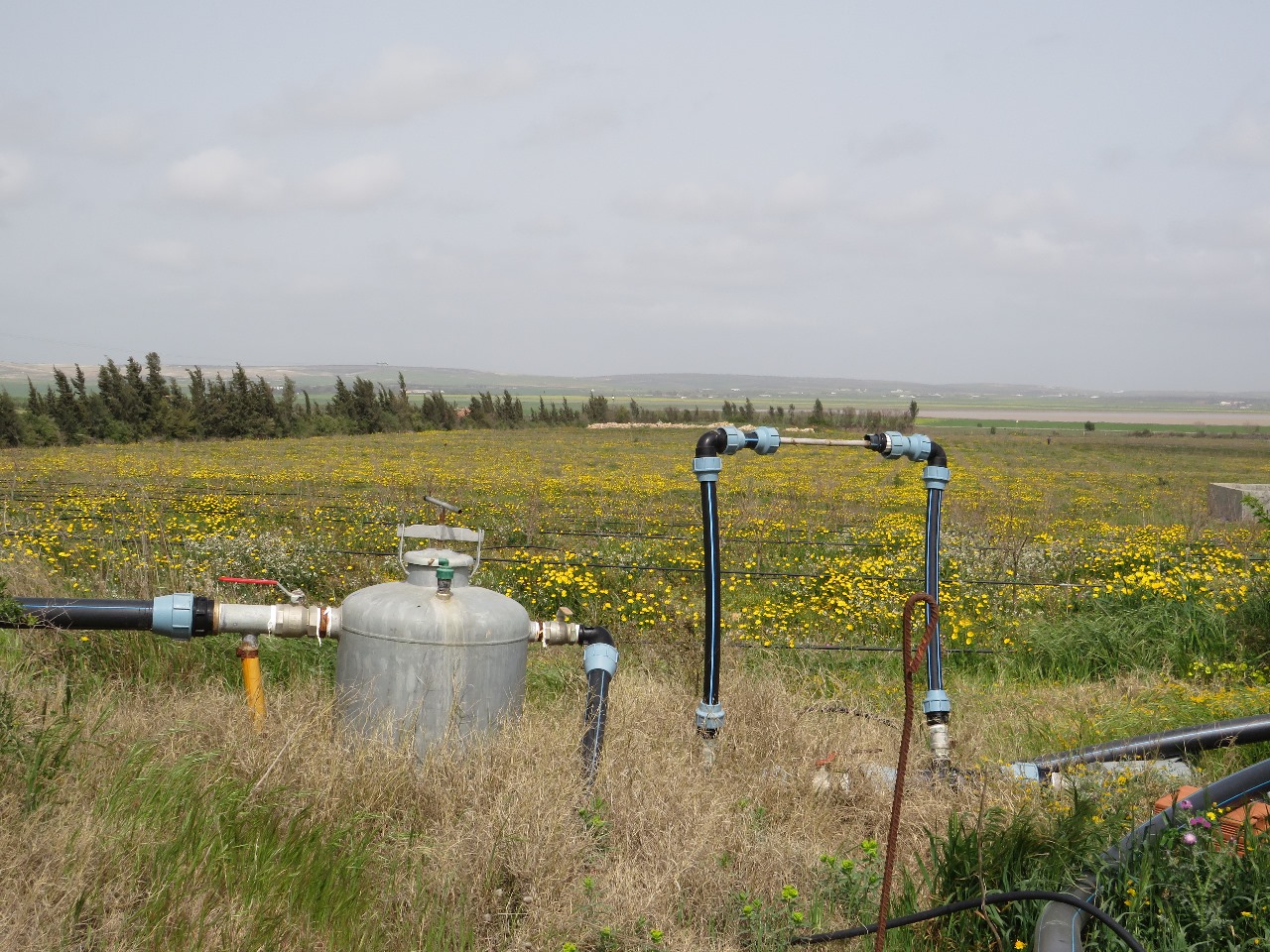 Bir Mcherga Boucha Terrain Terrain agricole 7 hectares de ferme de grenadiers et d'oliviers