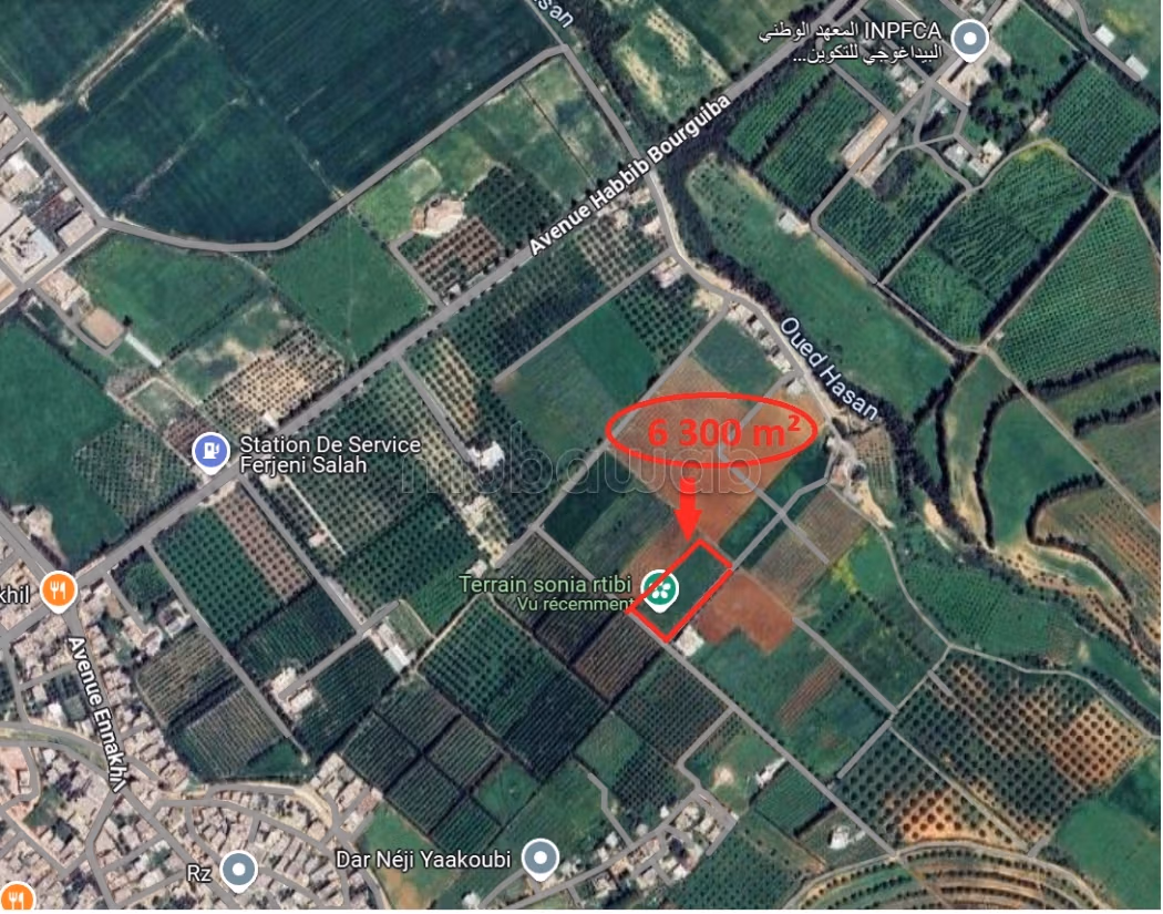 Sidi Thabet Sidi Thabet Terrain Terrain nu Terrain nu  sidi thabet