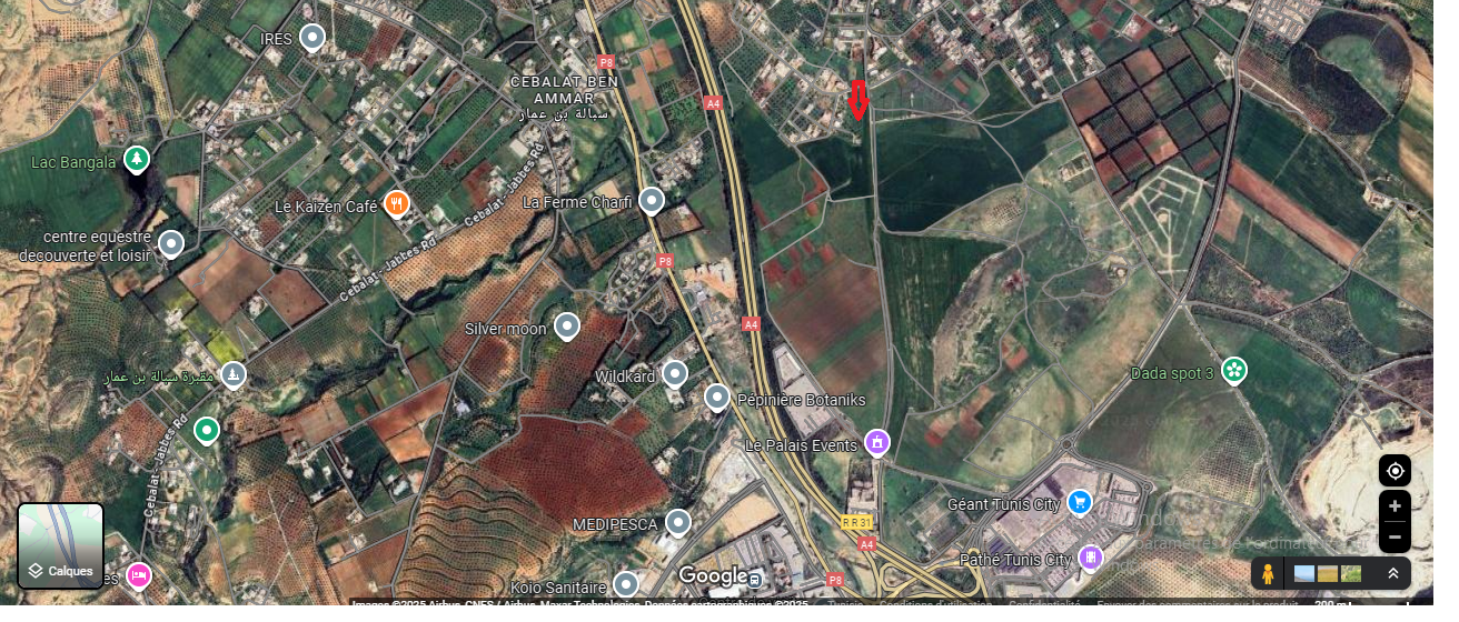 Sidi Thabet Borj Youssef Terrain Terrain nu Des lots de terrain a borj youssef