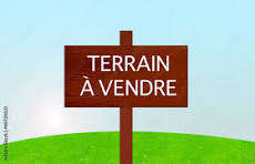 Raoued Borj Touil Terrain Terrain nu Terrains  borj touil