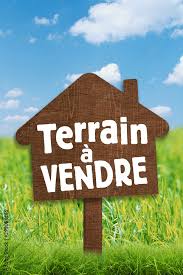 Raoued Raoued Terrain Terrain nu Trois lots  raoued
