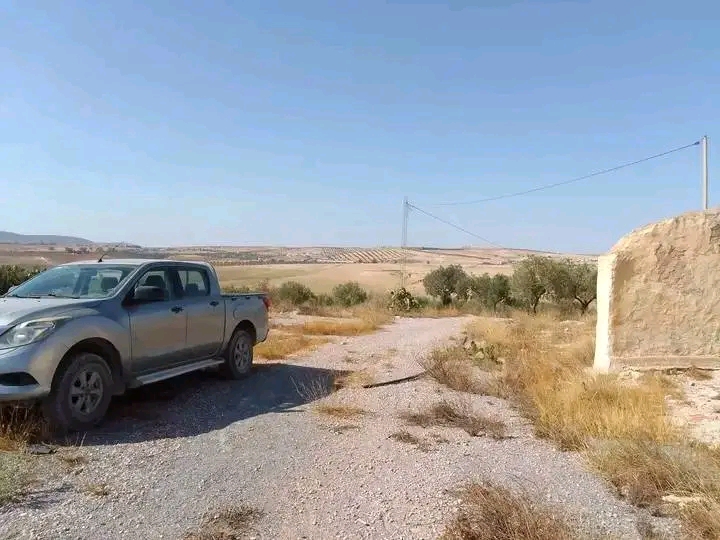 Bir Mcherga Bir Mcherga Terrain Terrain agricole Ferme agricole 32 ha en production