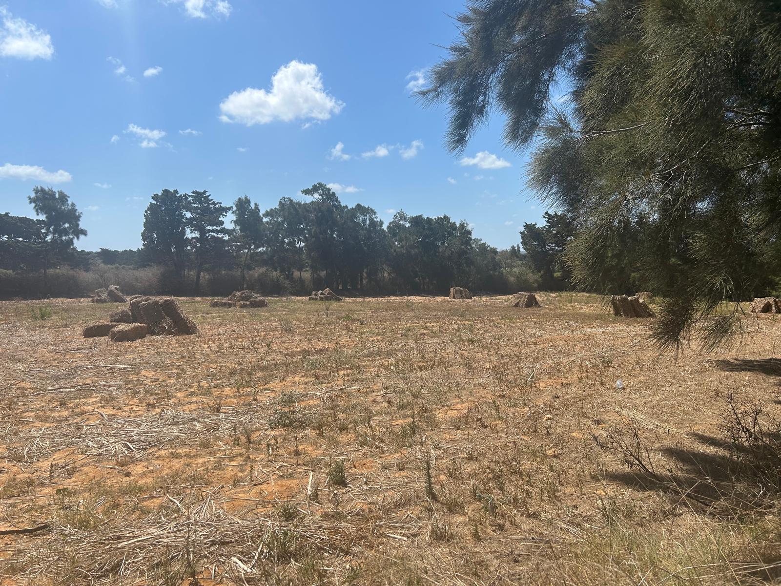 El Haouaria Charaf Terrain Terrain agricole Terrain agricole  echraf dar allouche el haouaria