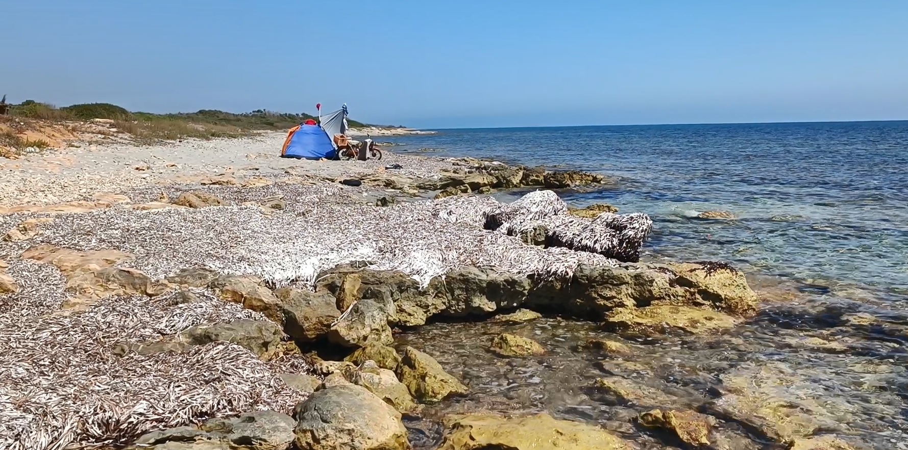 Kelibia Kerkouane Terrain Terrain nu Projet lotissement priv pieds dans l'eau
