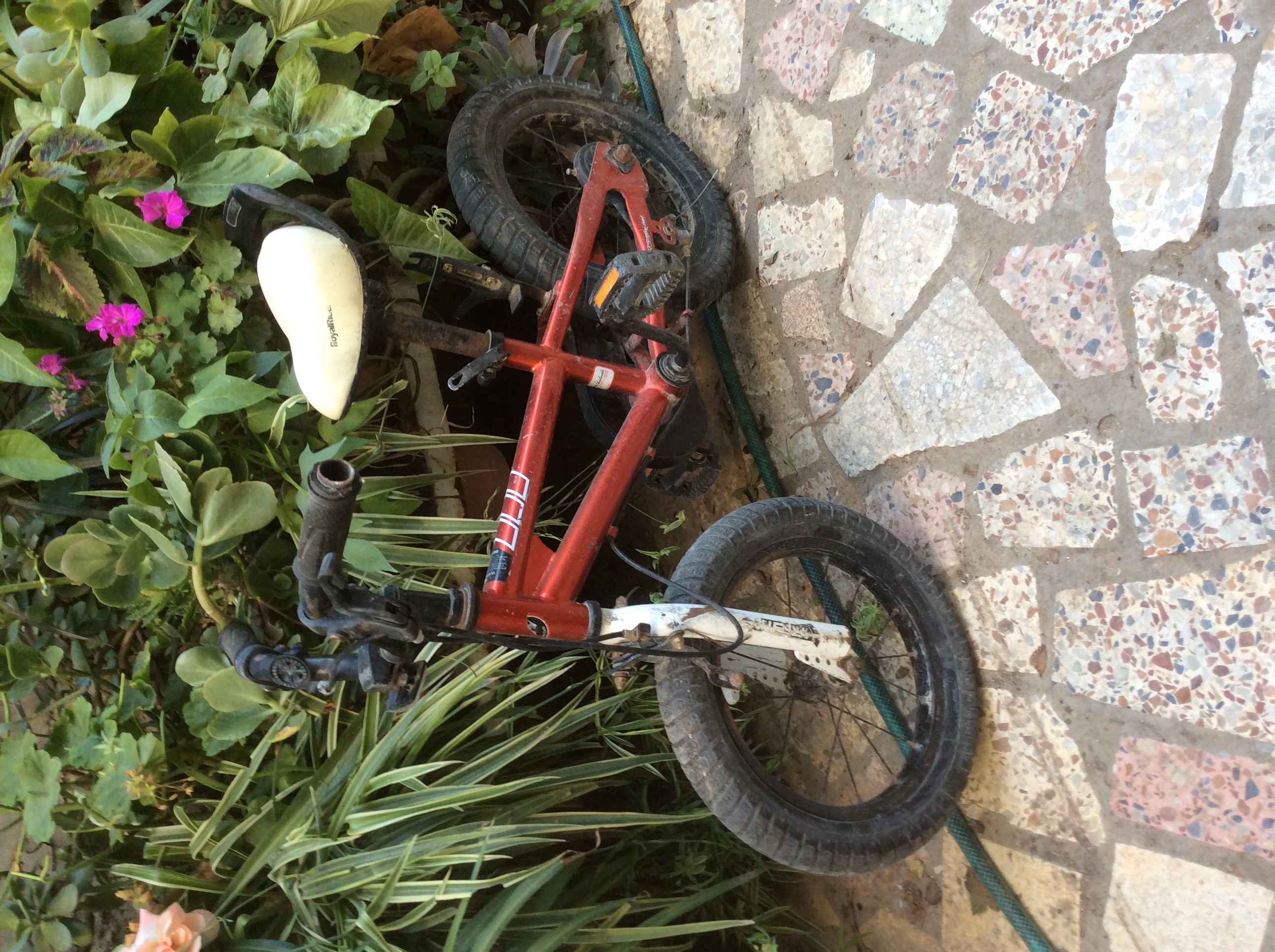 Ariana Ville Cite El Intissar 2 Jouet Autre Jolie bicyclette avec casseque de scurit