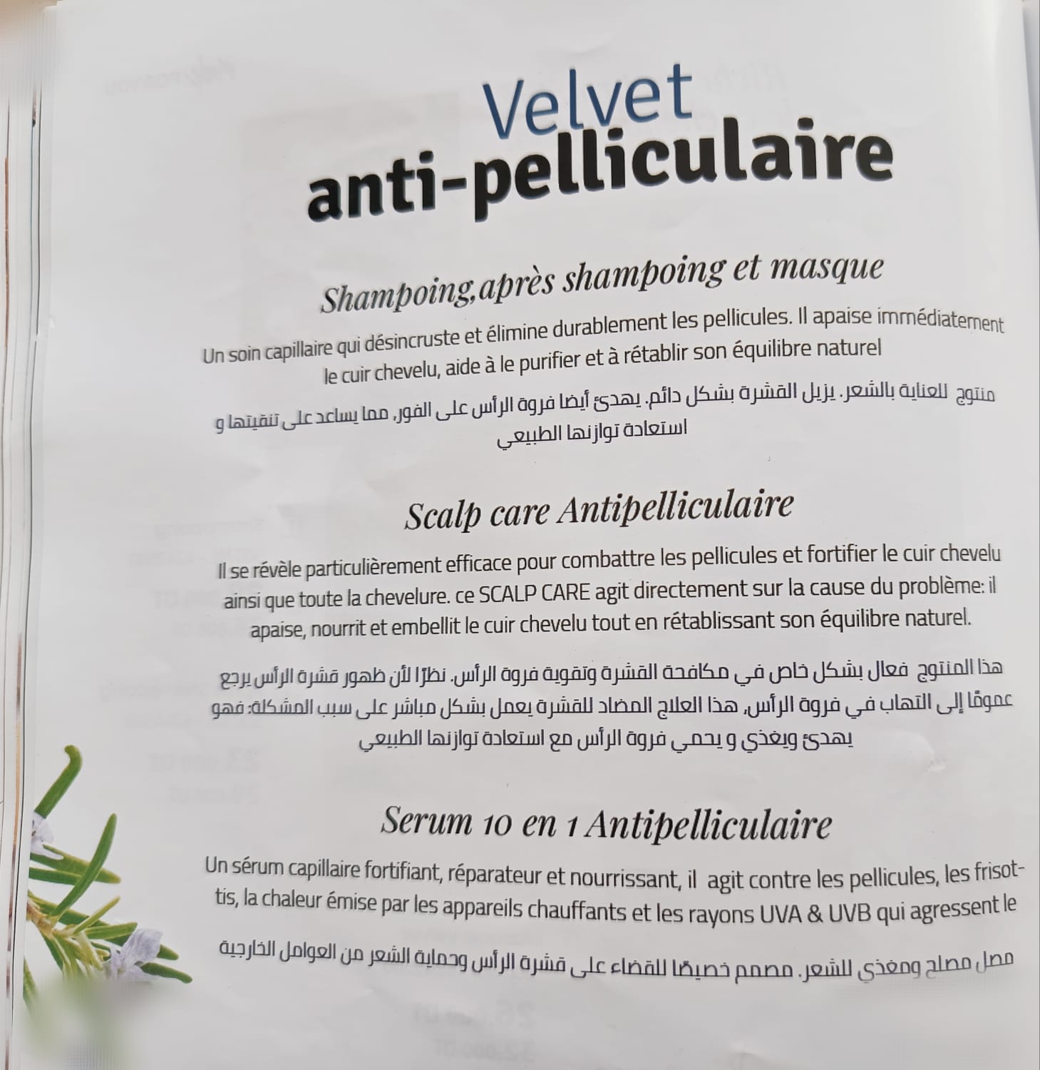 Ariana Ville Borj El Baccouche Sche-cheveux & brosse soufflante Autre Velvet de vif pour cheveux anti pelliculaire