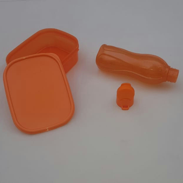 Ariana Ville Borj El Baccouche Repas et Allaitement Autre Mini eco bouteille et porte gouter