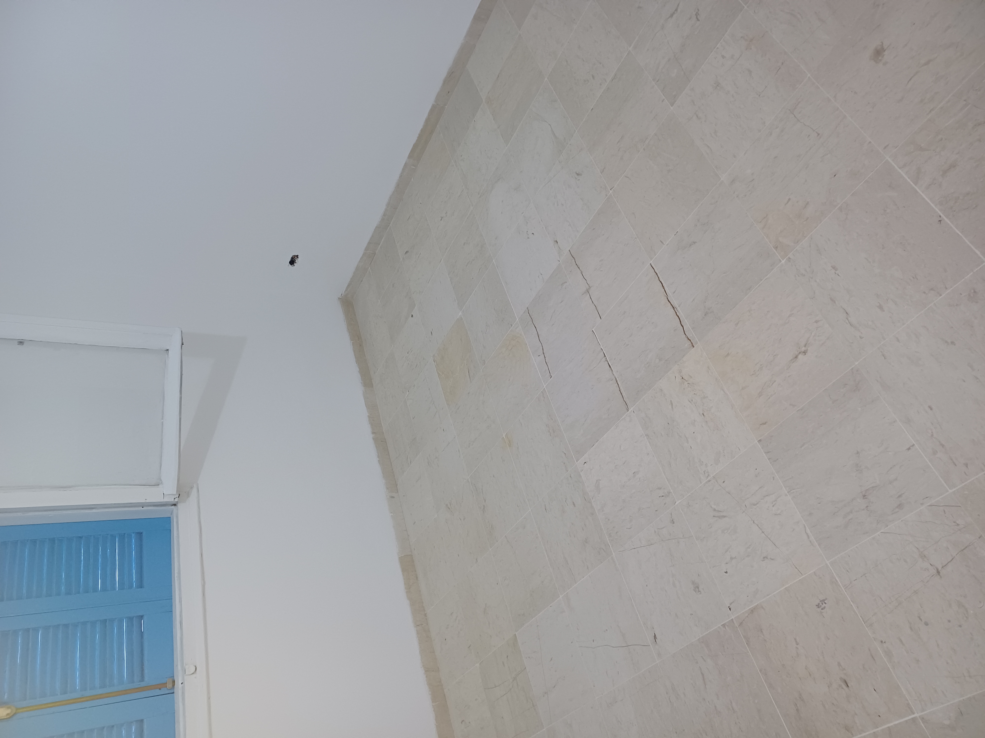 Le Bardo Bouchoucha Location Appart. 3 pices Appartement cit ennajah