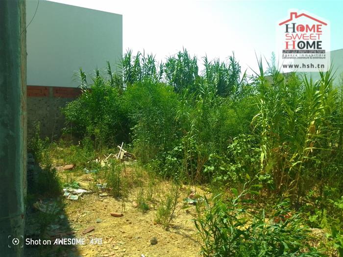 La Marsa Gammart Vente Surfaces Terrain de villa rawanak   gammarth