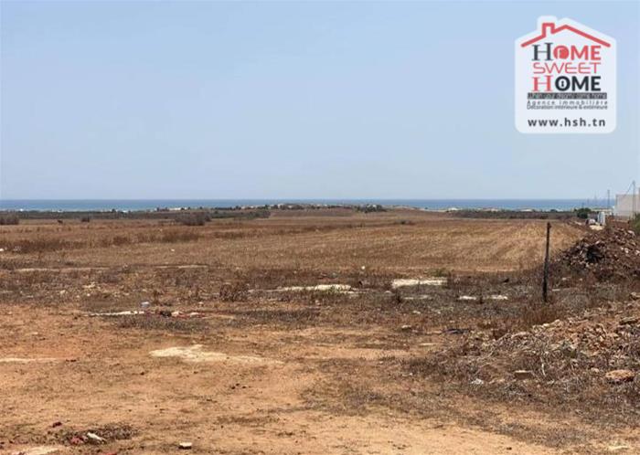 Nabeul Nabeul Vente Surfaces Terrain villa fayrouza   nabeul
