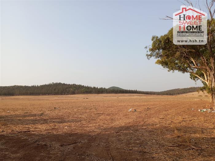 Mejez El Bab Mejez El Bab Vente Surfaces Terrain agricole iris   mjez el beb