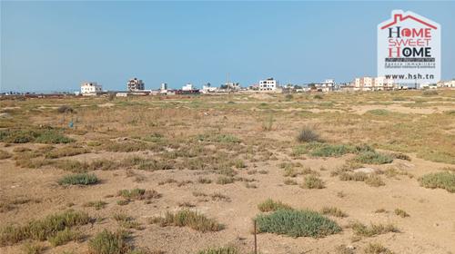 Raoued Raoued Terrain Terrain nu Terrain de villa sun  raoued plage