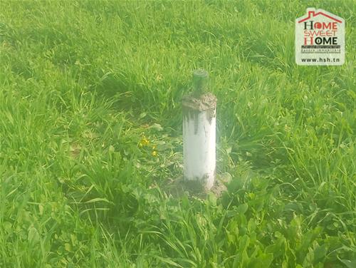 Raoued Raoued Terrain Terrain nu Terrain de villa flower  raoued