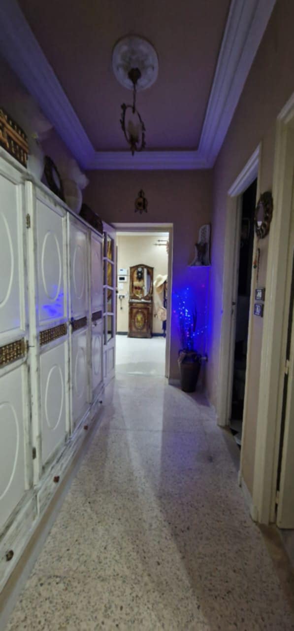 Oued Ellil Oued Ellil Vente Maisons Villa sur 3 niveaux