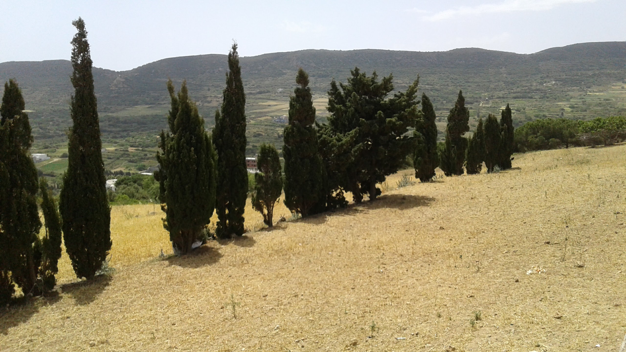 Ras Jebel Rafraf Terrain Terrain nu Terrain rafraf 3050 m2 avec maison  rnover