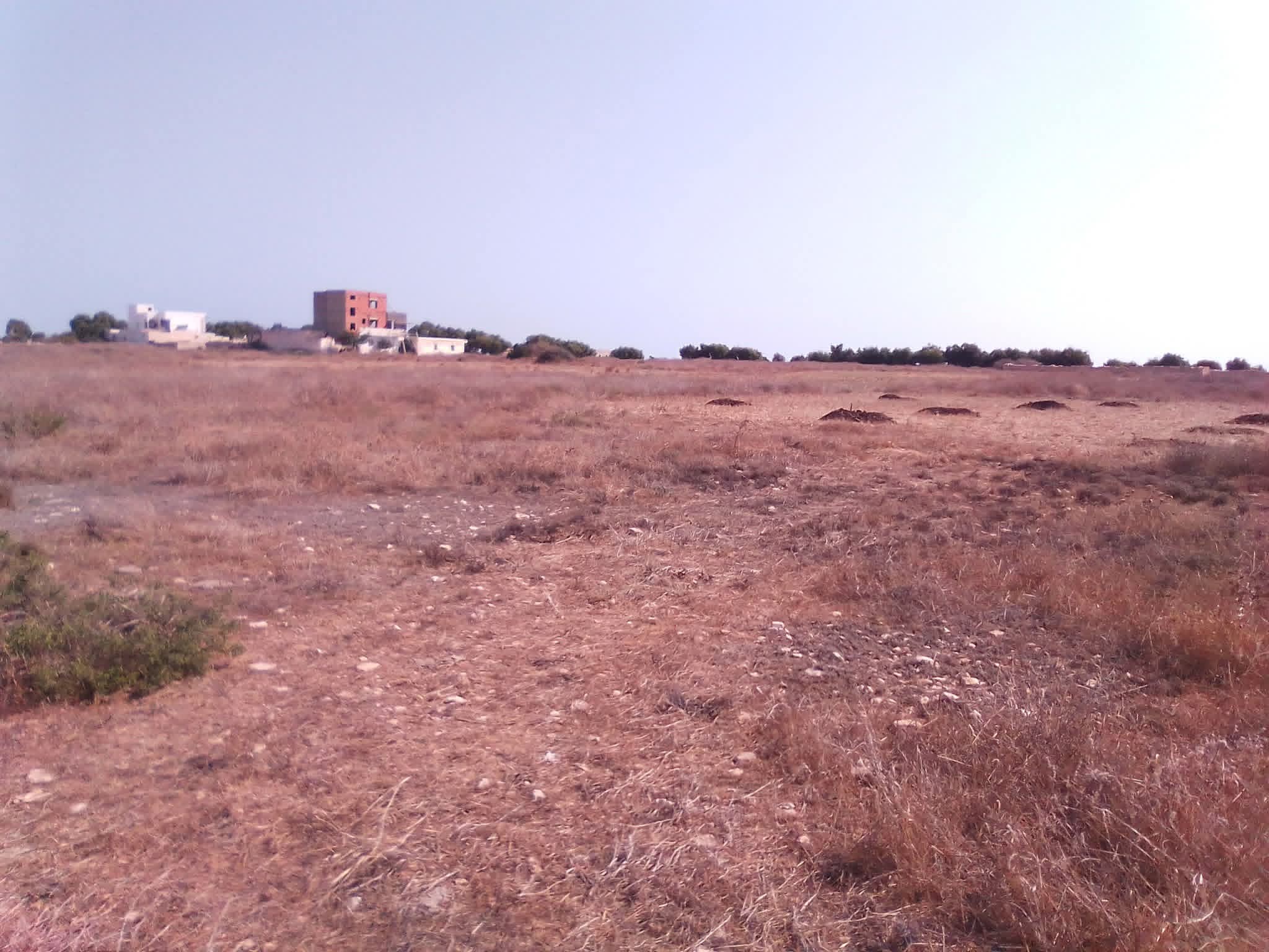 Ksour Essaf Ksour Essaf Terrain Terrain nu Terrain a 600m du bord de plage