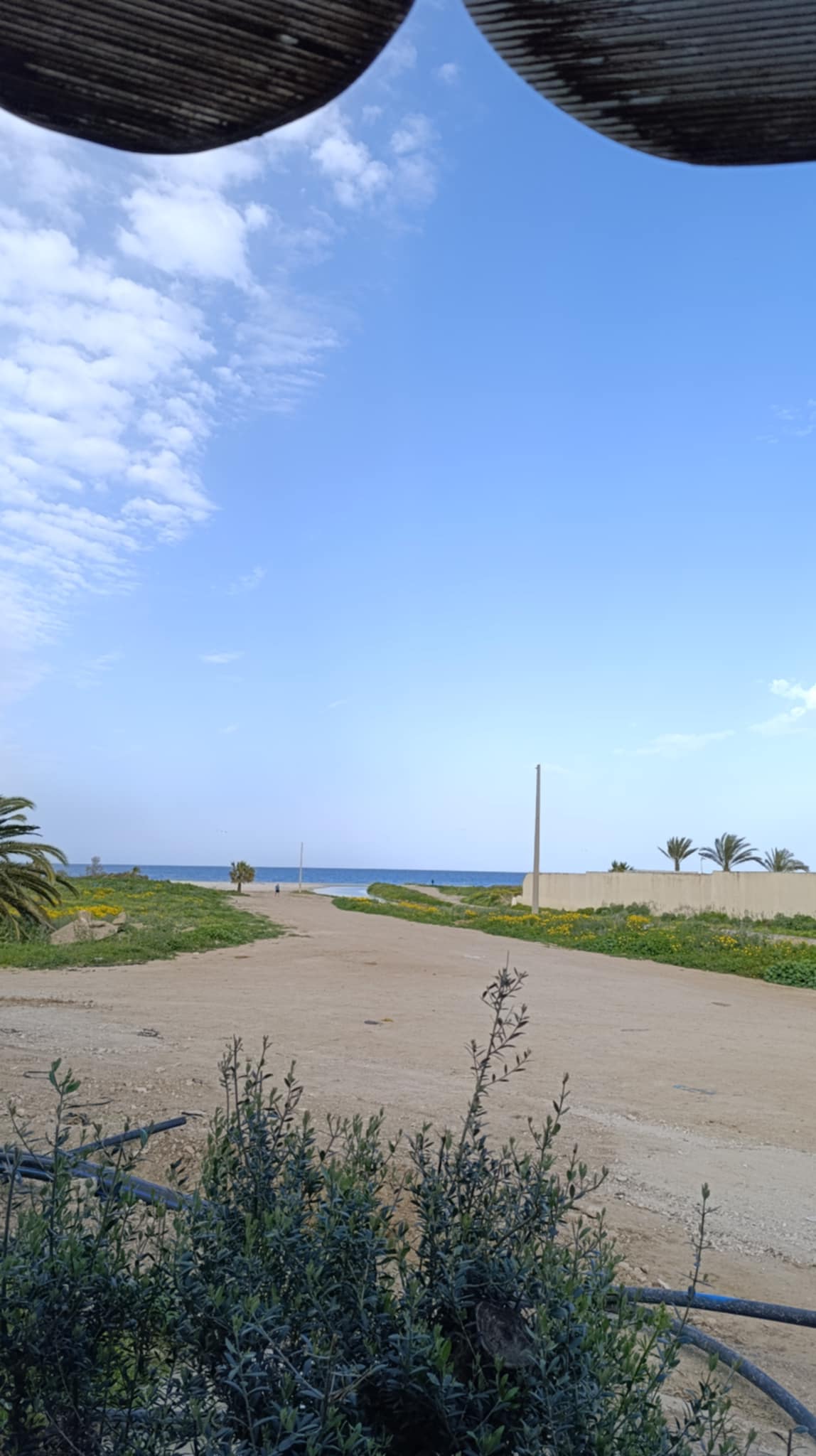 Bizerte Nord Bizerte Location Appart. 1 pice Studio meubl jusqu'en juin
