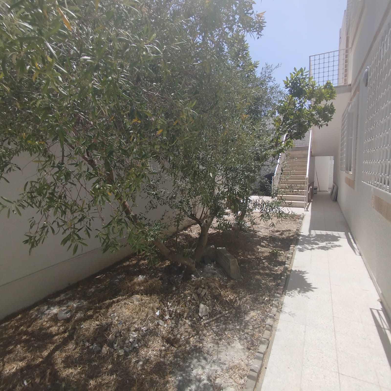 El Menzah El Menzah 9 Location Appart. 4 pices Spacieux tage de villa s3 bien ar  menzah9a