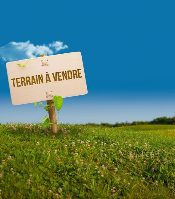 Testour Esskhira Vente Surfaces Terrain agricole  esskhira testour bja