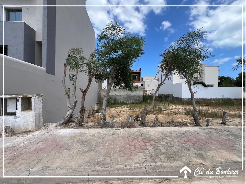 Raoued Raoued Terrain Terrain nu Terrain  lotissement les flamants roses