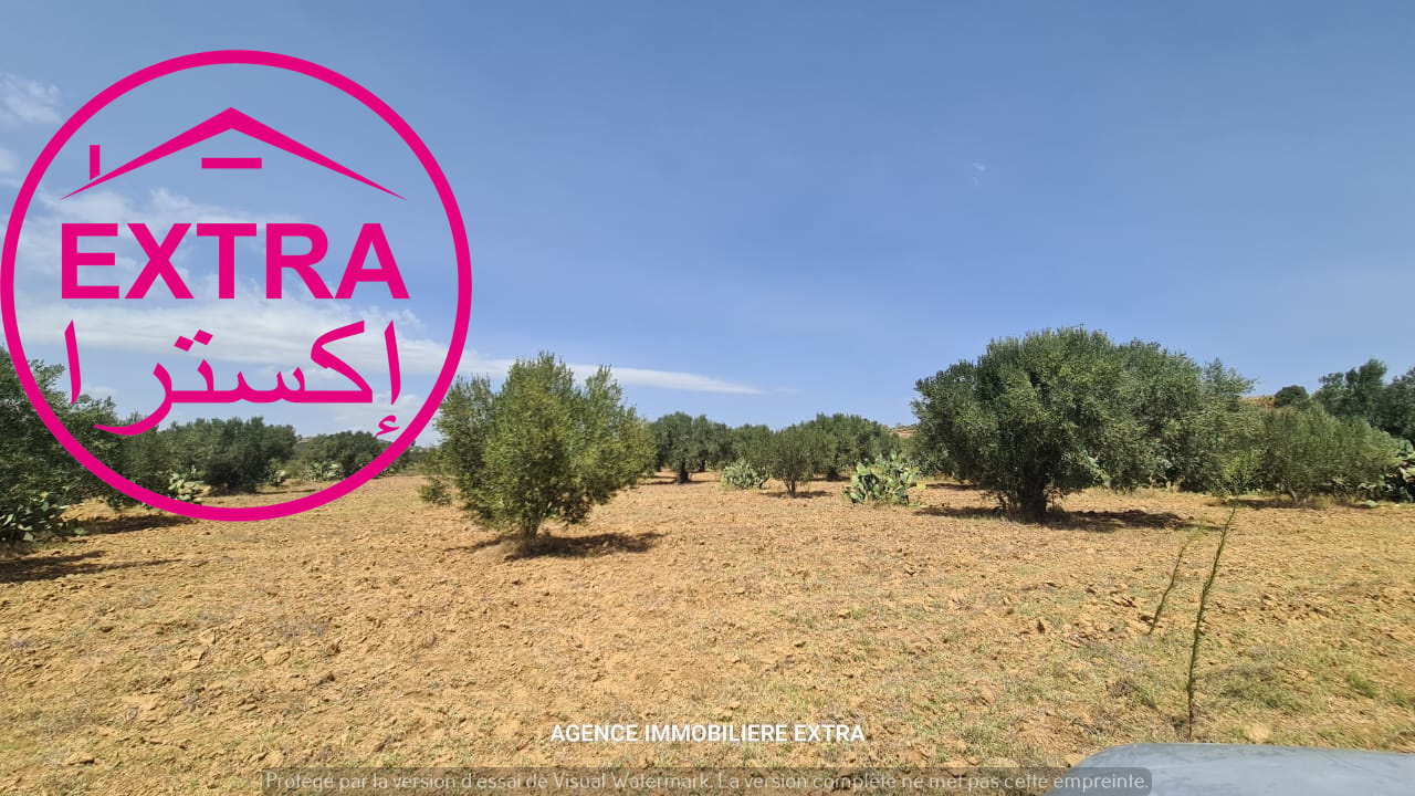 Nabeul Henchir El Haouaria Terrain Terrain agricole Terrain agricole  el haouaria