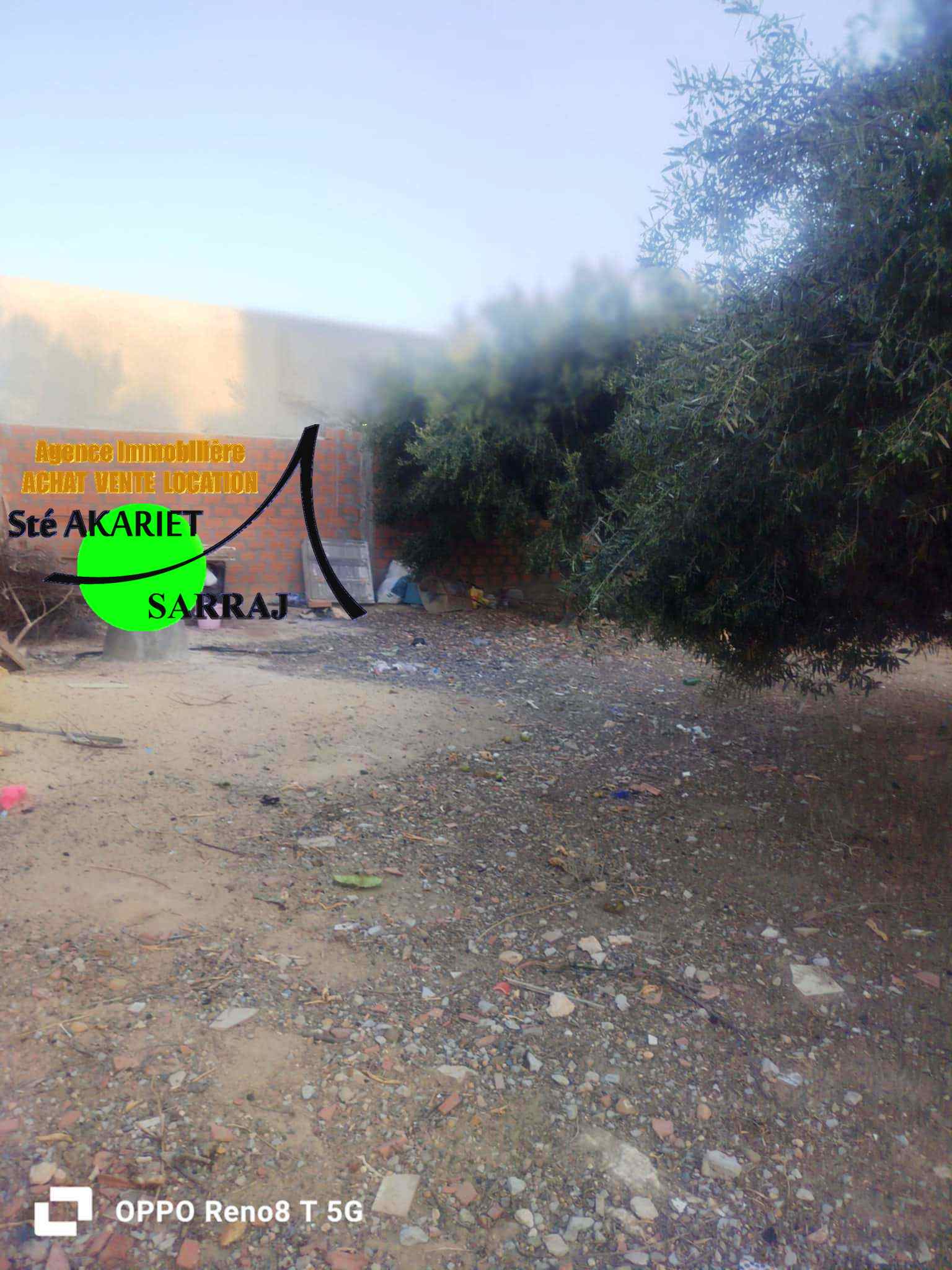 Sidi Bou Ali El Araydhia Terrain Terrain nu Lot amnag cltur 514m  sidi bouali el araydhia