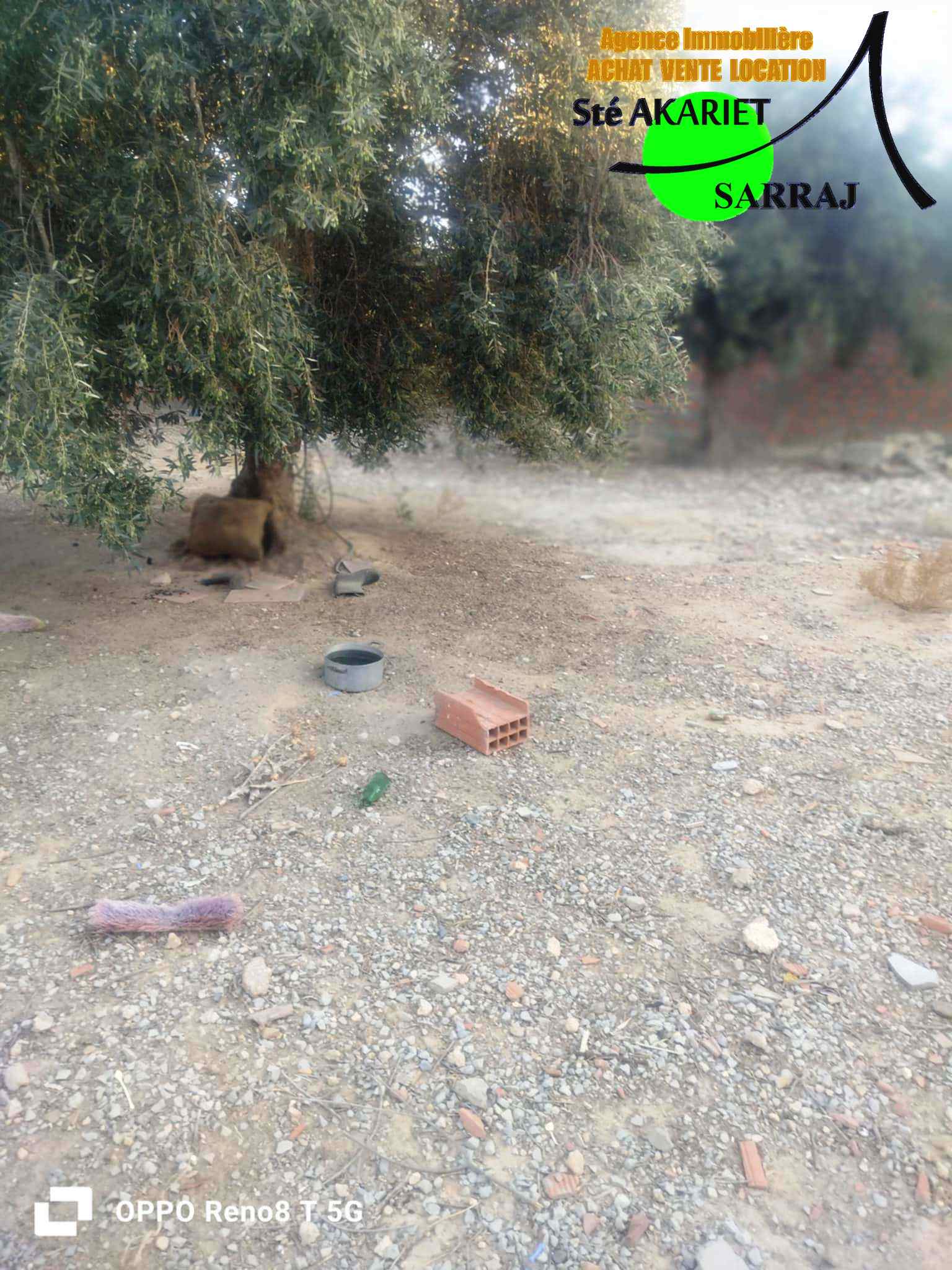 Sidi Bou Ali El Araydhia Terrain Terrain nu Lot amnag cltur 514m  sidi bouali el araydhia