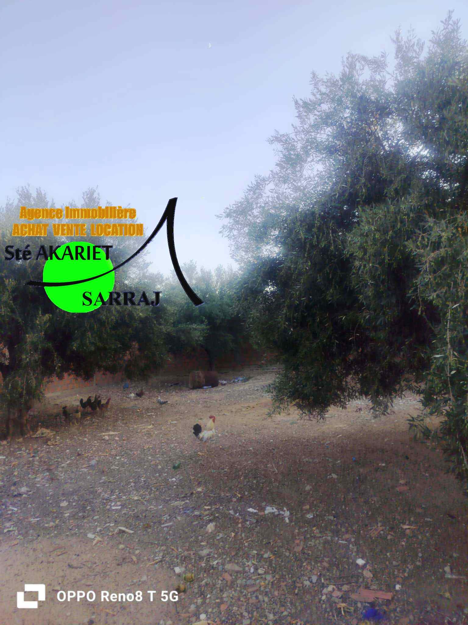 Sidi Bou Ali El Araydhia Terrain Terrain nu Lot amnag cltur 514m  sidi bouali el araydhia